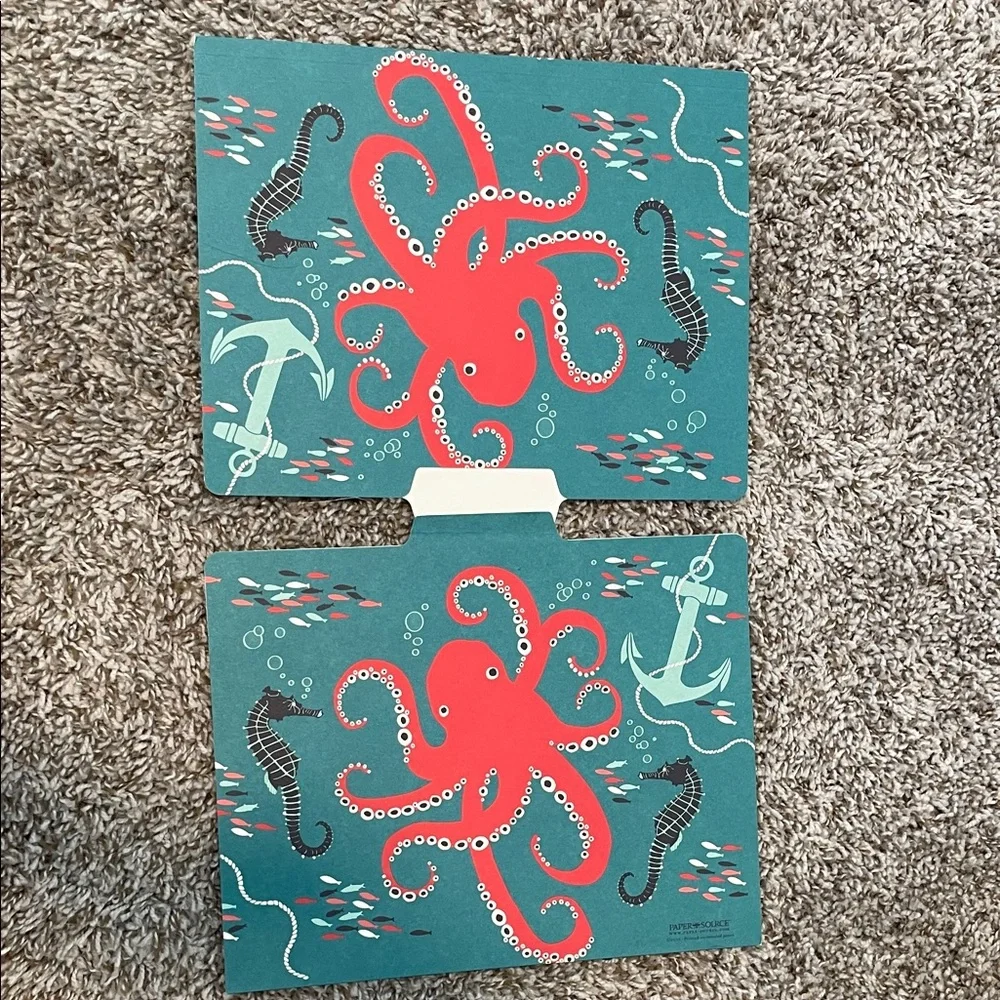 Paper Source Teal and Red Ocean File Folders